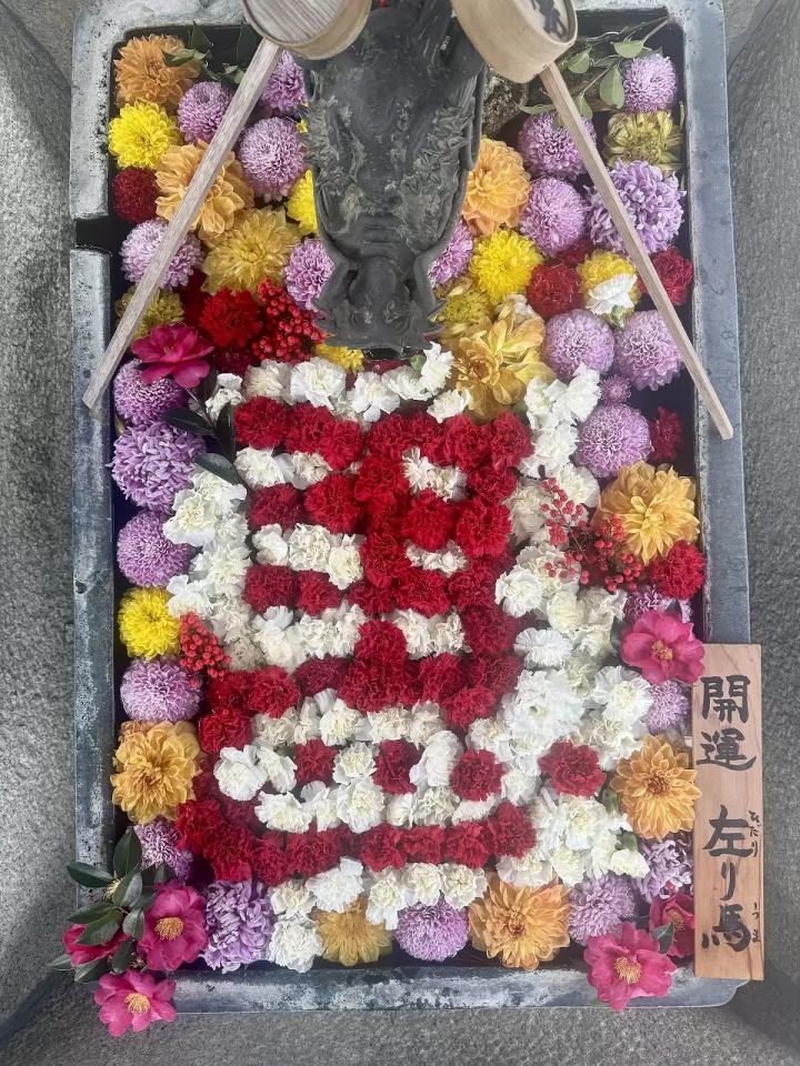 Kyoto Hydrangea Week 2026: Yanagidani Kannon Guide