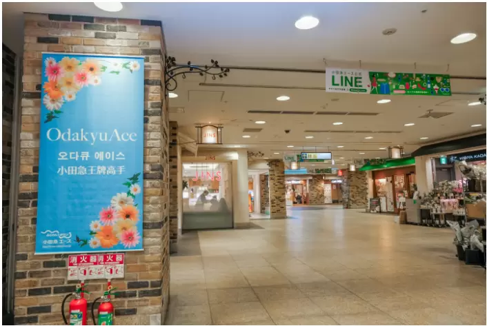 [Shinjuku Girls' Trip] 4 Recommended Shops for Women at Odakyu Ace!