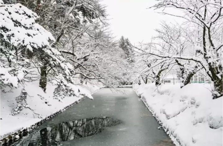 【東北】冬天也好好玩！本島最北的「青森＋秋田」雪白浪漫之旅