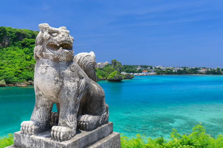 Okinawa lion dog