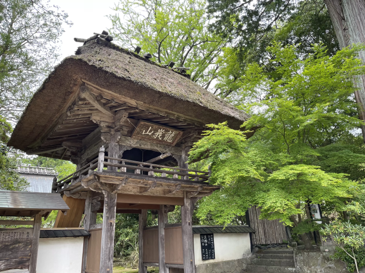 【由布院】遠離湯之坪街道。漫步在綠樹成蔭、野花遍地的後街小巷。