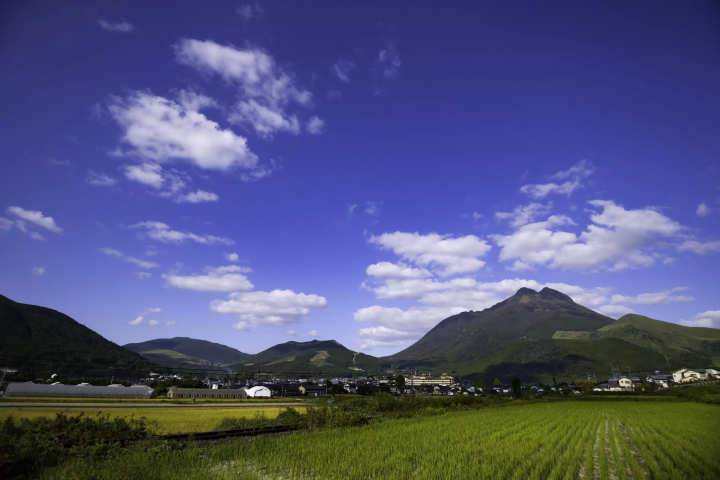 【由布院】遠離湯之坪街道。漫步在綠樹成蔭、野花遍地的後街小巷。