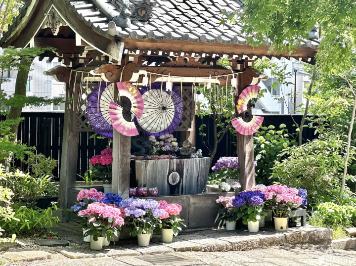萬年山法輪寺被稱為「東京最美」的花手水