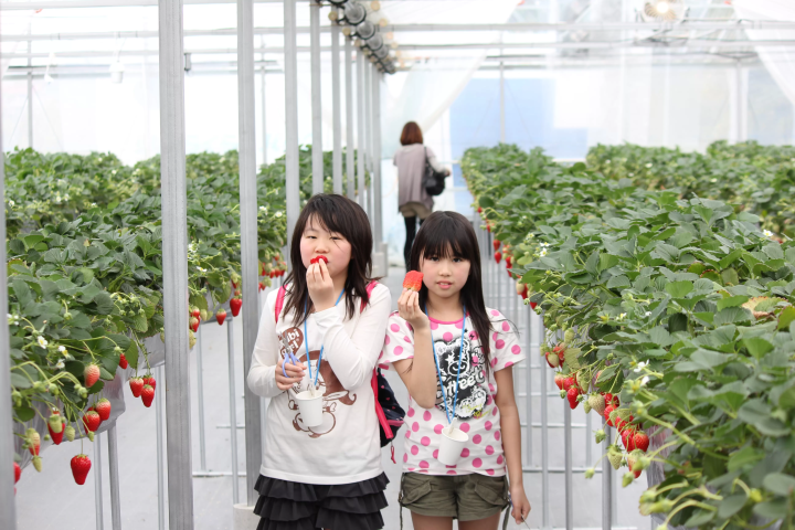 【最新版！ 】春夏季節在養父市必去的15個景點！