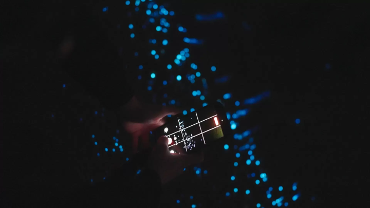 A special night tour to experience the bioluminescent plankton and sea fireflies of the Seto Inland Sea.