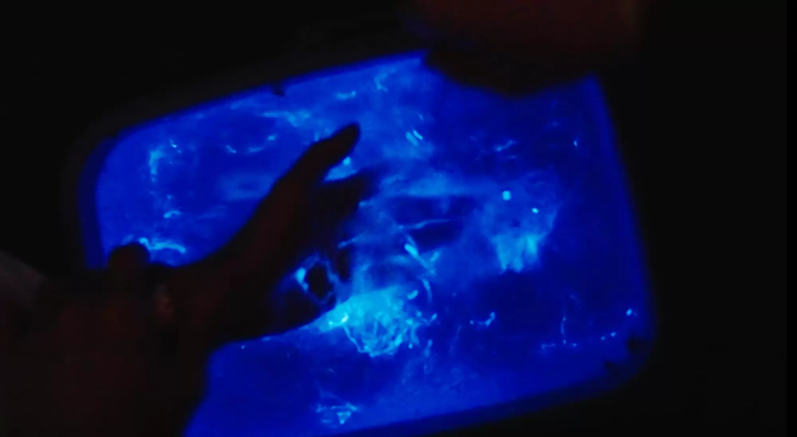 A special night tour to experience the bioluminescent plankton and sea fireflies of the Seto Inland Sea.