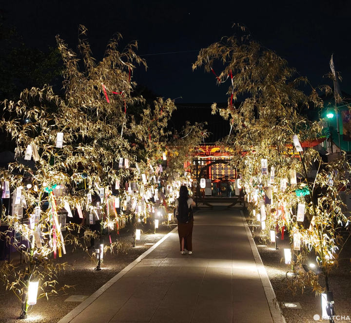 Asakusa Shrine Natsumode Event