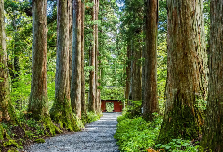 Togakushi Shrine