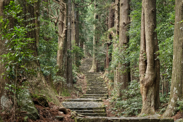 東紀州