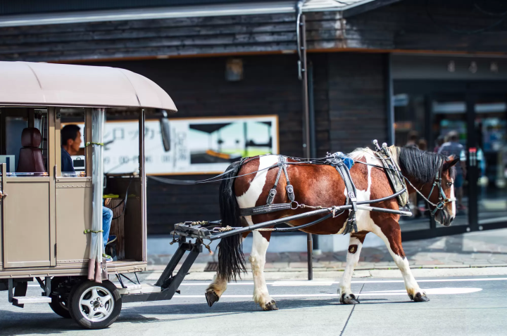 來由布院,可以坐馬車遊玩