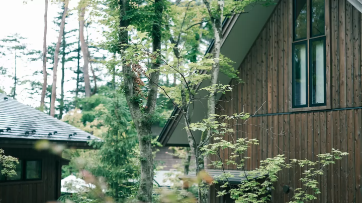 HIKARI