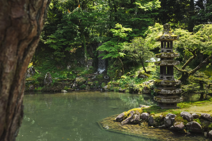 Koji, Soy Sauce, and Beyond: A Journey into Kanazawa’s Fermentation Culture