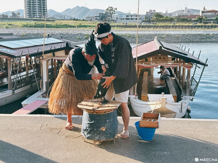 【岐阜】夏の夜の長良川を楽しみつくす！伝統の鵜飼いと絶品鮎料理、長良川夜市を巡る充実の旅
