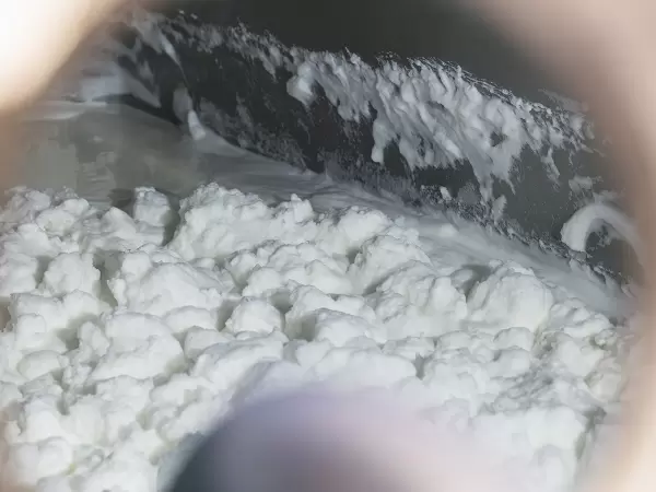 常滑牛奶特輯:尋找那令人喜愛的當地風味♡ 第一卷