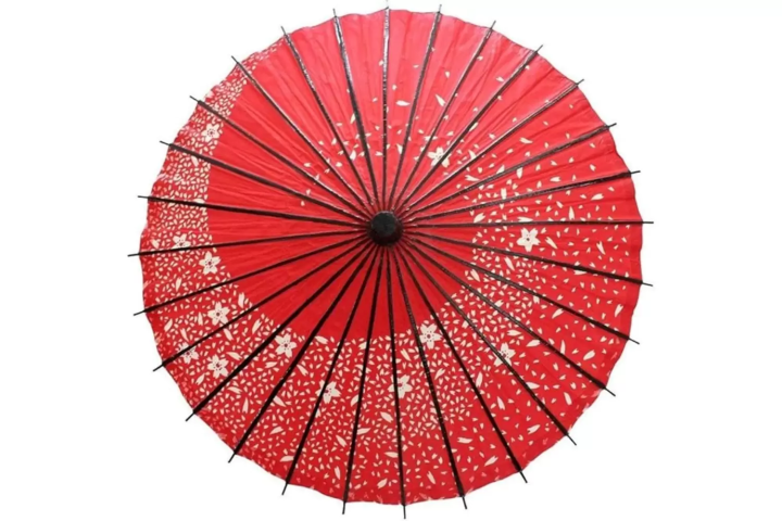 Wagasa - Japanese paper umbrella