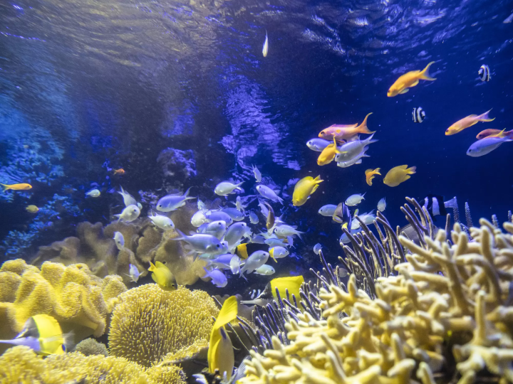 鳥羽水族館