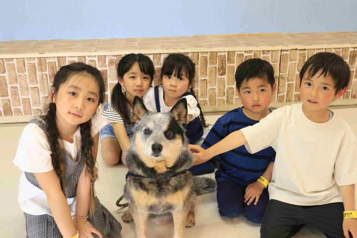 A great family outing! Fuji Subaru Land, a theme park at the foot of Mount Fuji and Lake Kawaguchiko .