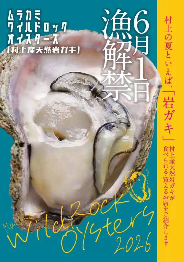 宣傳冊封面 