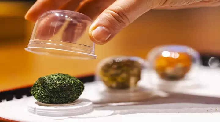 Yamato Koji Park: Exploring Kanazawa’s Fermentation Hub