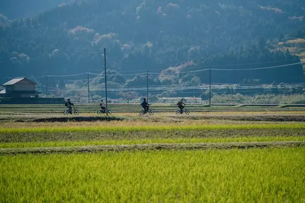 Uwari Cycling Adventure: A cycling experience through the rural landscapes of Fukui.
