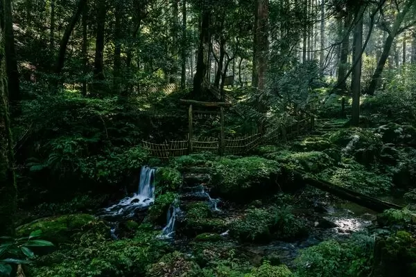 Uwari Cycling Adventure: A cycling experience through the rural landscapes of Fukui.