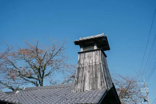 上張騎行探險:穿越福井鄉村風景的騎行體驗。