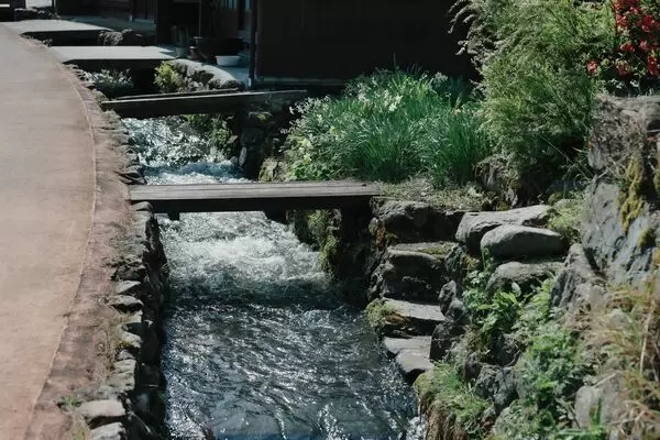 上張騎行探險:穿越福井鄉村風景的騎行體驗。