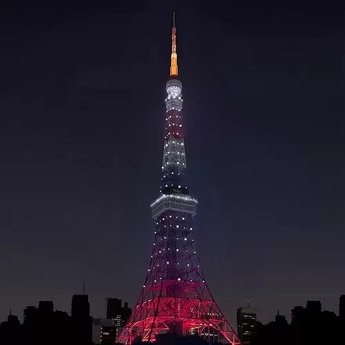 Tokyo Tower Tanabata Festival Shimmering Infinity Diamond Veil Light-Up