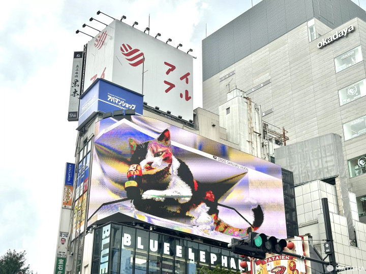 新宿巨大 3D 貓(東口)