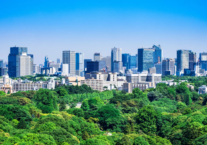 俯瞰新宿御苑