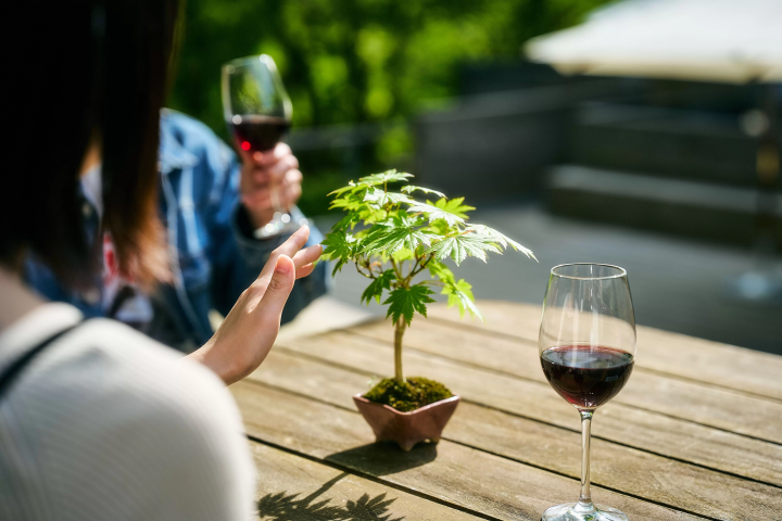 A lodging experience surrounded by bonsai trees in the forests of Hakone. Hakone Retreat före & villa 1/f