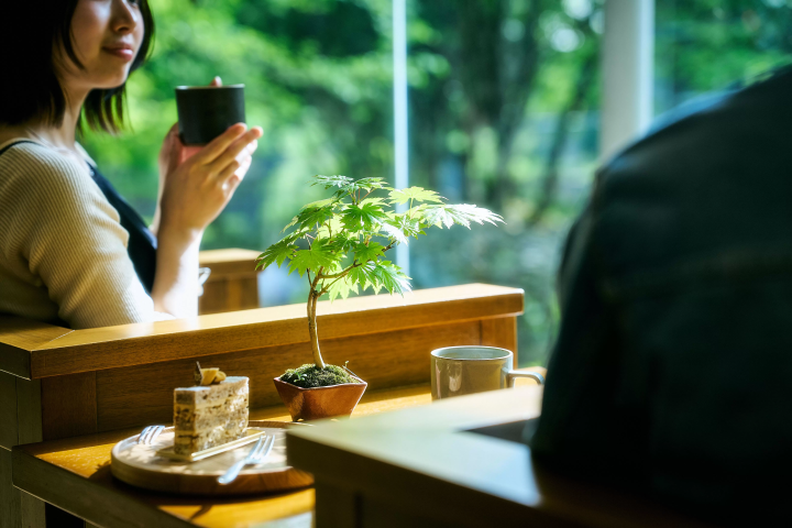 在箱根森林中，被盆景树环绕的住宿体验。箱根静修别墅及旅馆 1 楼