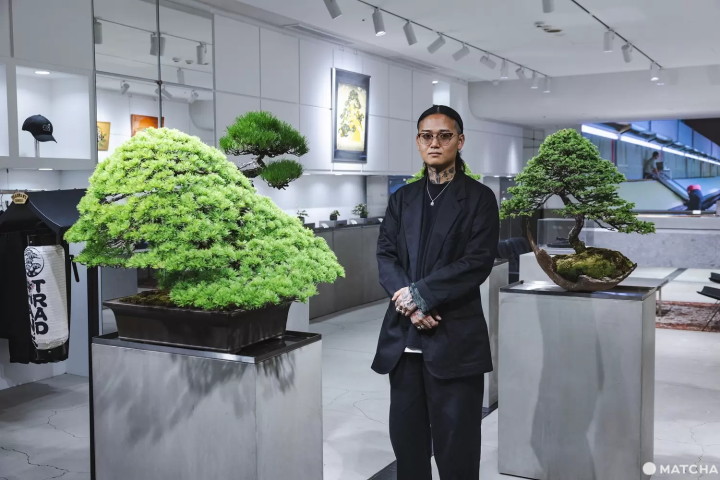 TRADMAN'S TOKYO Bonsai