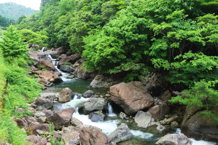 【京都京都府福知山市】壯麗景色!大江山山脈雲海與伊勢三神社 | 如何遊覽鬼之傳說之村