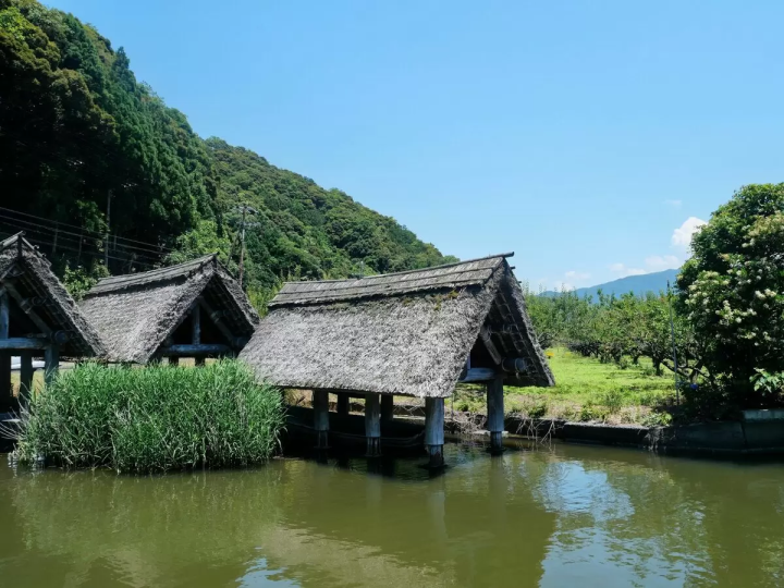 【若狹町】湖畔小鎮:若狹初夏若狹美景