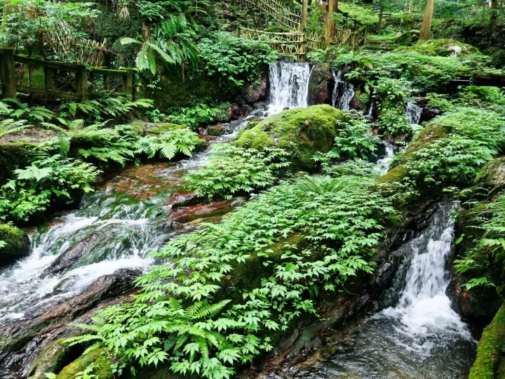 【若狹町】湖畔小鎮:若狹初夏若狹美景