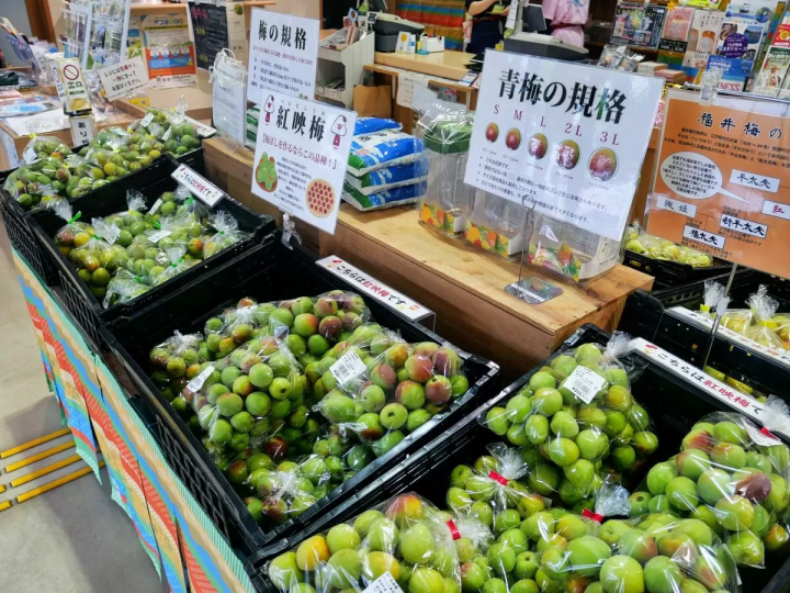 【若狹町】湖畔小鎮:若狹初夏若狹美景