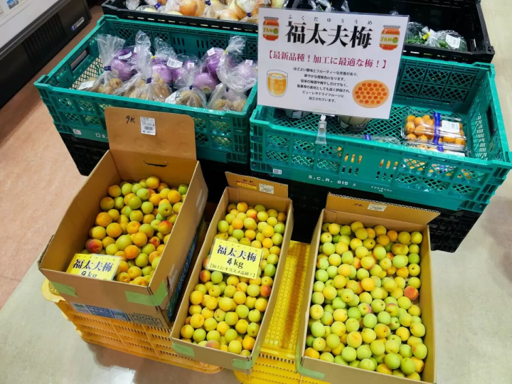 【若狹町】湖畔小鎮:若狹初夏若狹美景