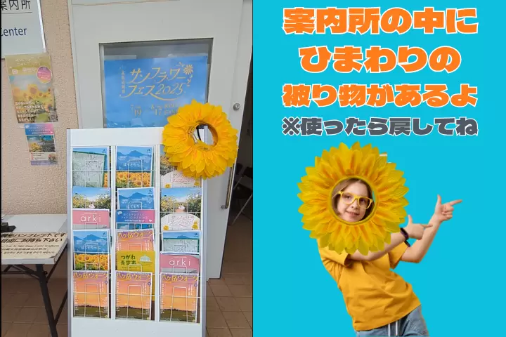 40萬株向日葵打造的壯麗夏日奇觀！如何欣賞北杜市朱乃向日葵節