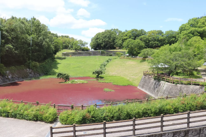 「Sun Road吉備路」已完成翻新！享受午餐、麵包房、溫泉和住宿帶來的樂趣。