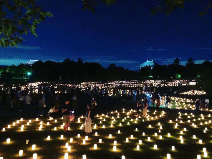 【2026最新】走进古都奈良一年中最梦幻的夜晚——点亮夏夜的“奈良灯花会”