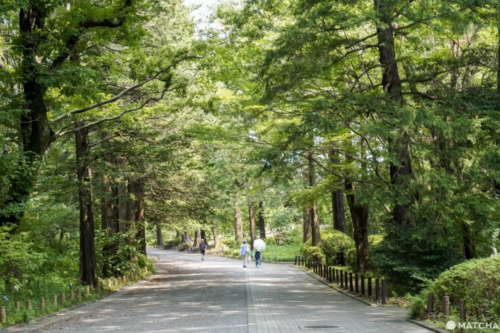 東京唯一公立「神代植物公園」裡面有超過10萬株植