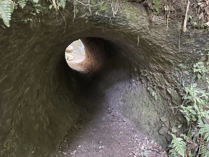【来自由布院的夏日】只有知情者才知道的清凉之地！隧道尽头的秘密瀑布