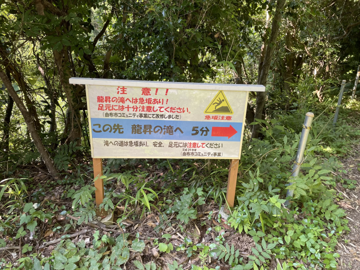 【来自由布院的夏日】只有知情者才知道的清凉之地！隧道尽头的秘密瀑布