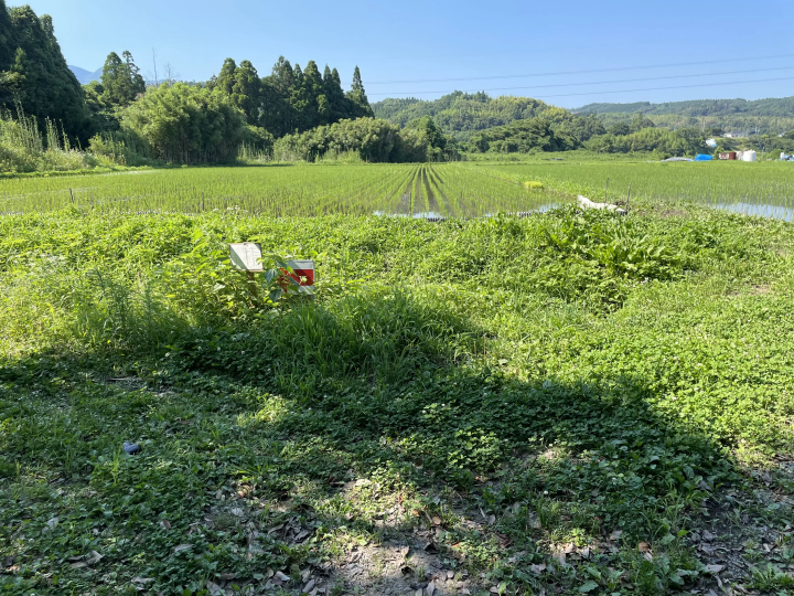 【来自由布院的夏日】只有知情者才知道的清凉之地！隧道尽头的秘密瀑布