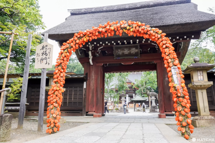 參拜東京第二古老寺廟「深大寺」