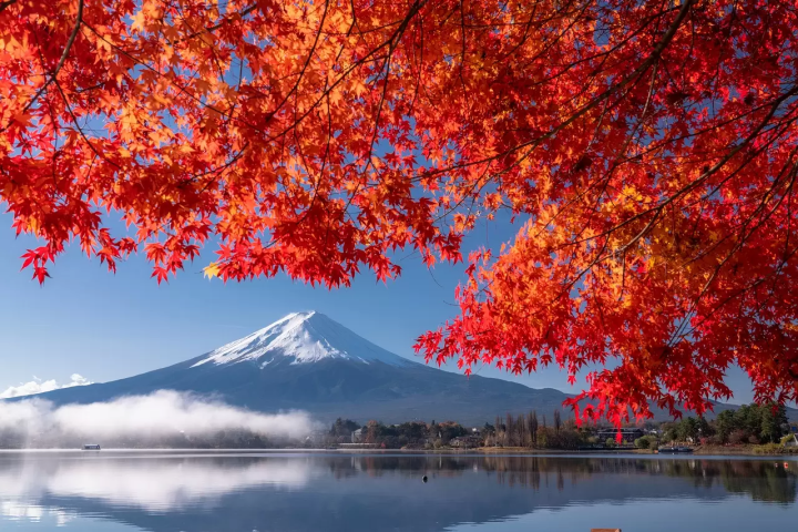 富士山河口湖