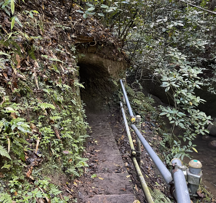 【来自由布院的夏日】只有知情者才知道的清凉之地！隧道尽头的秘密瀑布