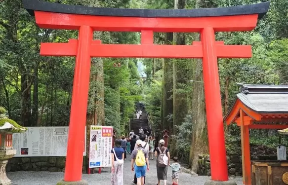从河口湖到箱根/三岛站!前往京都和大阪。