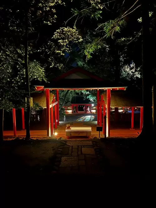 近江神宮目前正在舉辦限時夏季燈光秀活動！
